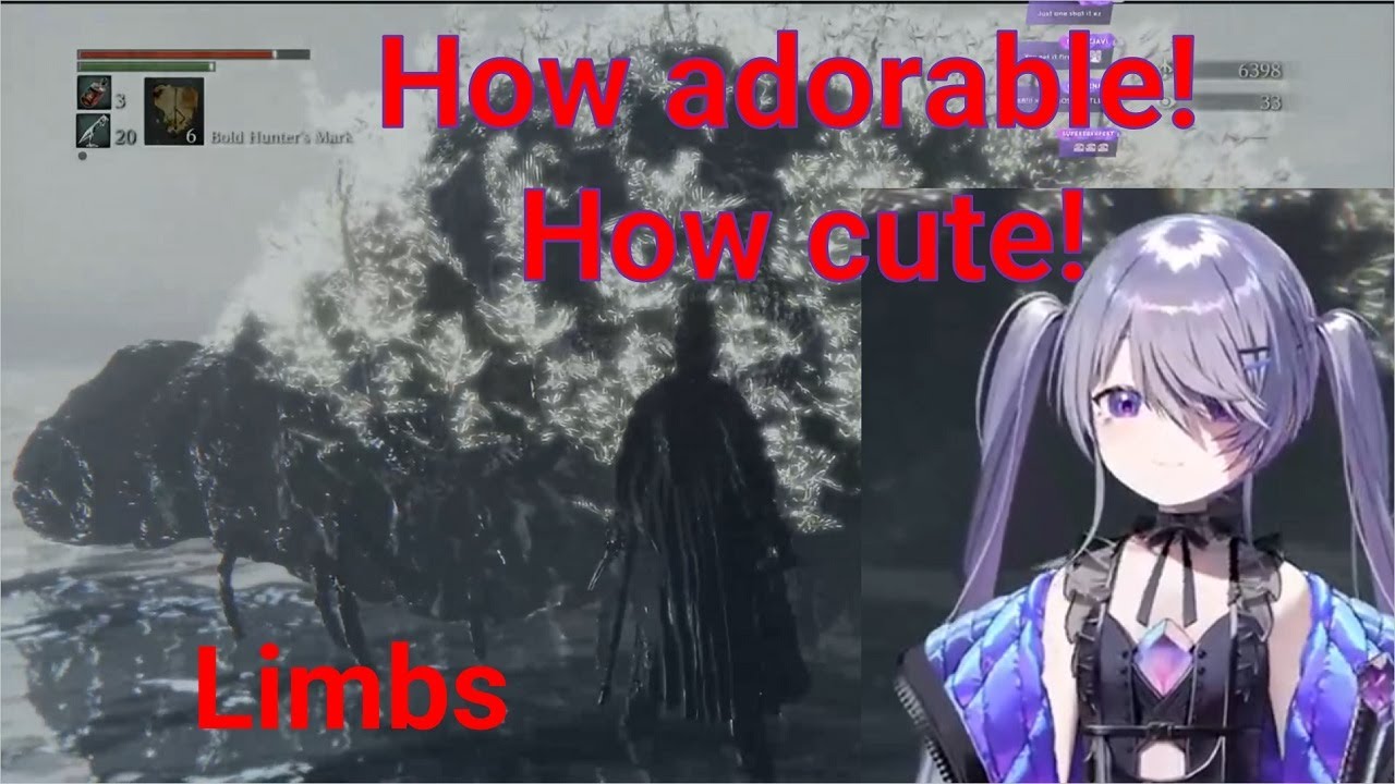 Biboo found cute(?) pebble with limbs - YouTube