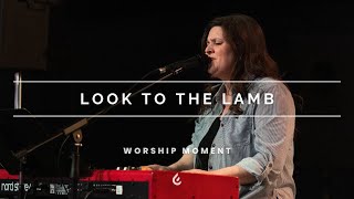 Look to the Lamb - Worship Moment