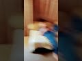 #xd #speed