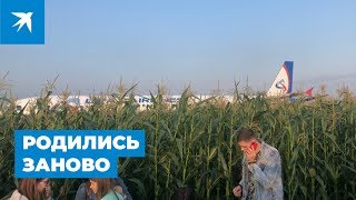 Родились заново. Экстренная посадка А-321 в Подмосковье