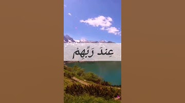 ترى الظالمين مشفقين مما كسبوا من سورة الشورى القارئ يوسف المعمري