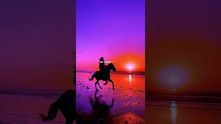 Night  Avicii L S  Aesthetic  English   Whatsapp Status  Slowed Up 