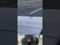 Peigon wasn't expecting the plane to go the fast 😂 | #wildlife #shorts #animals