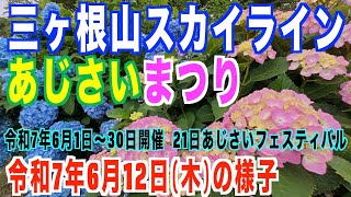 三ヶ根山スカイライン あじさいまつり　令和7年6月12日の様子