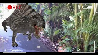 Dimetrodon Sighting In Florida.