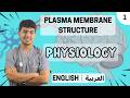 Physiology : Structure of Plasma (Cell) Membrane | Structure de la Membrane Plasmique - English