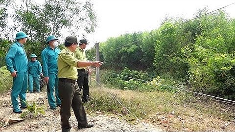 Những nỗ lực bảo tồn voi rừng