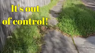 OVERGROWN edges EVERYWHERE - 5 videos in 1!