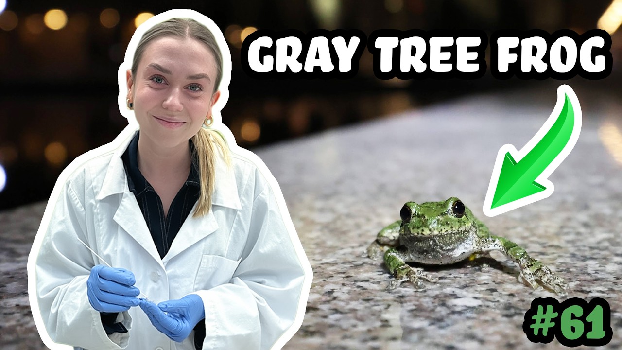 A Vaccine for FROGS? Fighting Chytrid with Notre Dame’s Gracie! - Josh's Frogs Podcast Episode 61