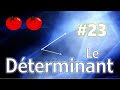 Thomaths 23  le dterminant algbre linaire 6