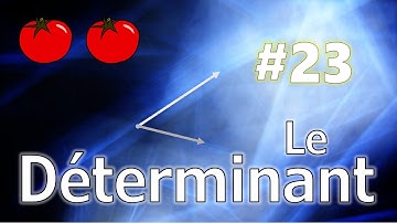Thomaths 23 : Le Déterminant (algèbre linéaire 6)