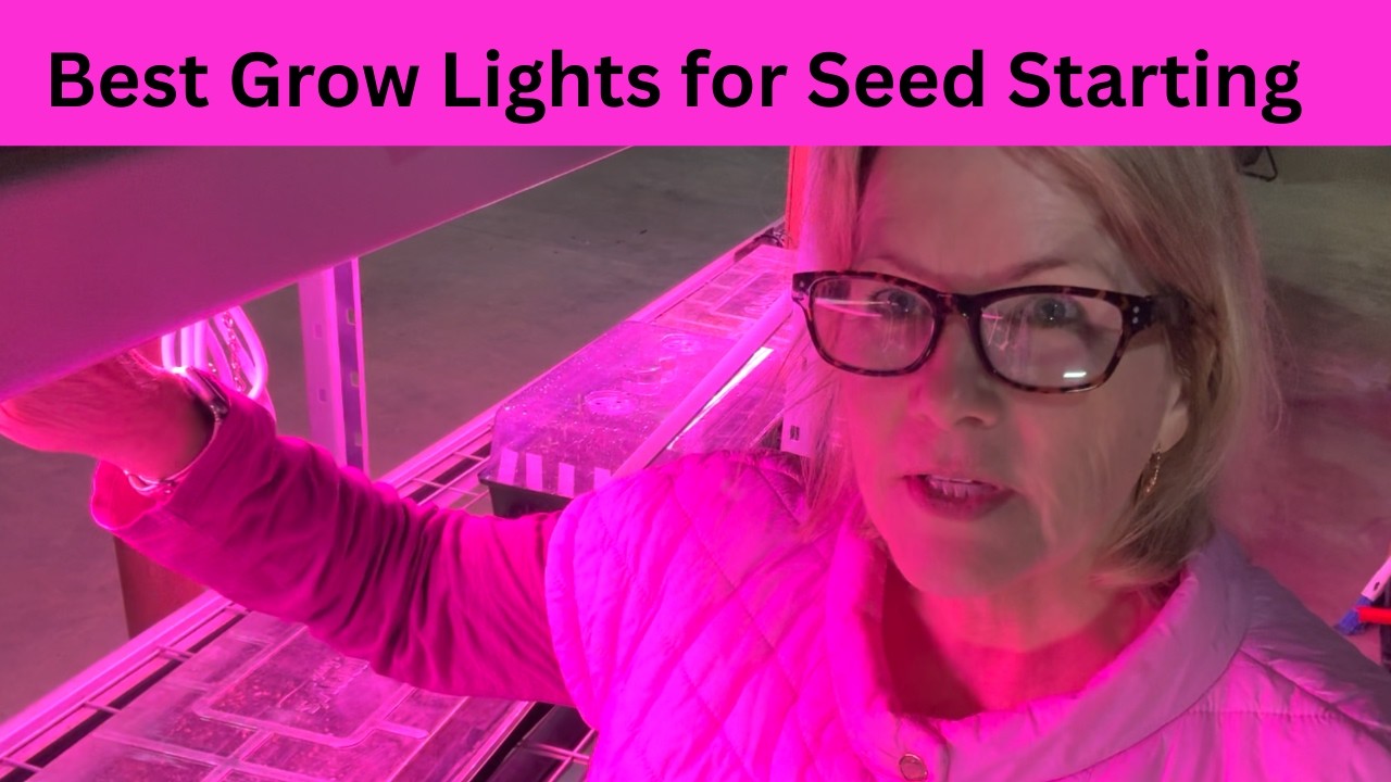 Best Grow Lights for Seed Starting