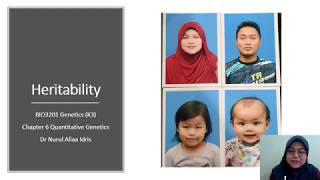 Quantitative genetics Part 2 Heritability
