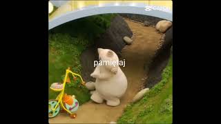 Maka paka myj kamienie #shorts#myjkamienie#makapaka