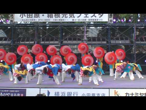 乱気流　☆市長賞受賞＠2012　ODAWARAえっさホイ踊り