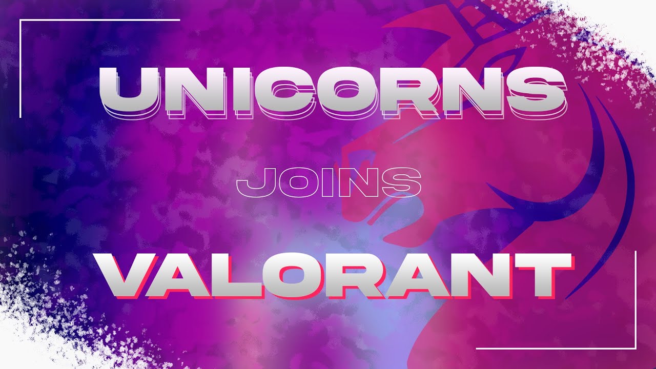 The beginning | Unicorns of Love VALORANT Roster Announcement