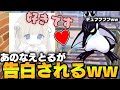 童○のなえとるがとうとう告白されました【Fortnite/フォートナイト】