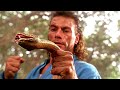 Jeanclaude van damme met une patate  un serpent  chasse  lhomme  extrait vf