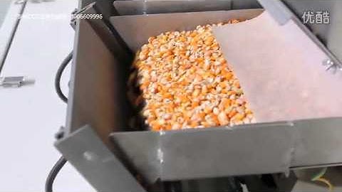Maize Color Sorter, Sorting Machine , Sortex for Corn [smarthonesty@yahoo.com]