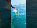 墓じまい海洋散骨 大分市