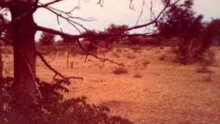 Exotic Big Game Hunting. Arthur O. Bator