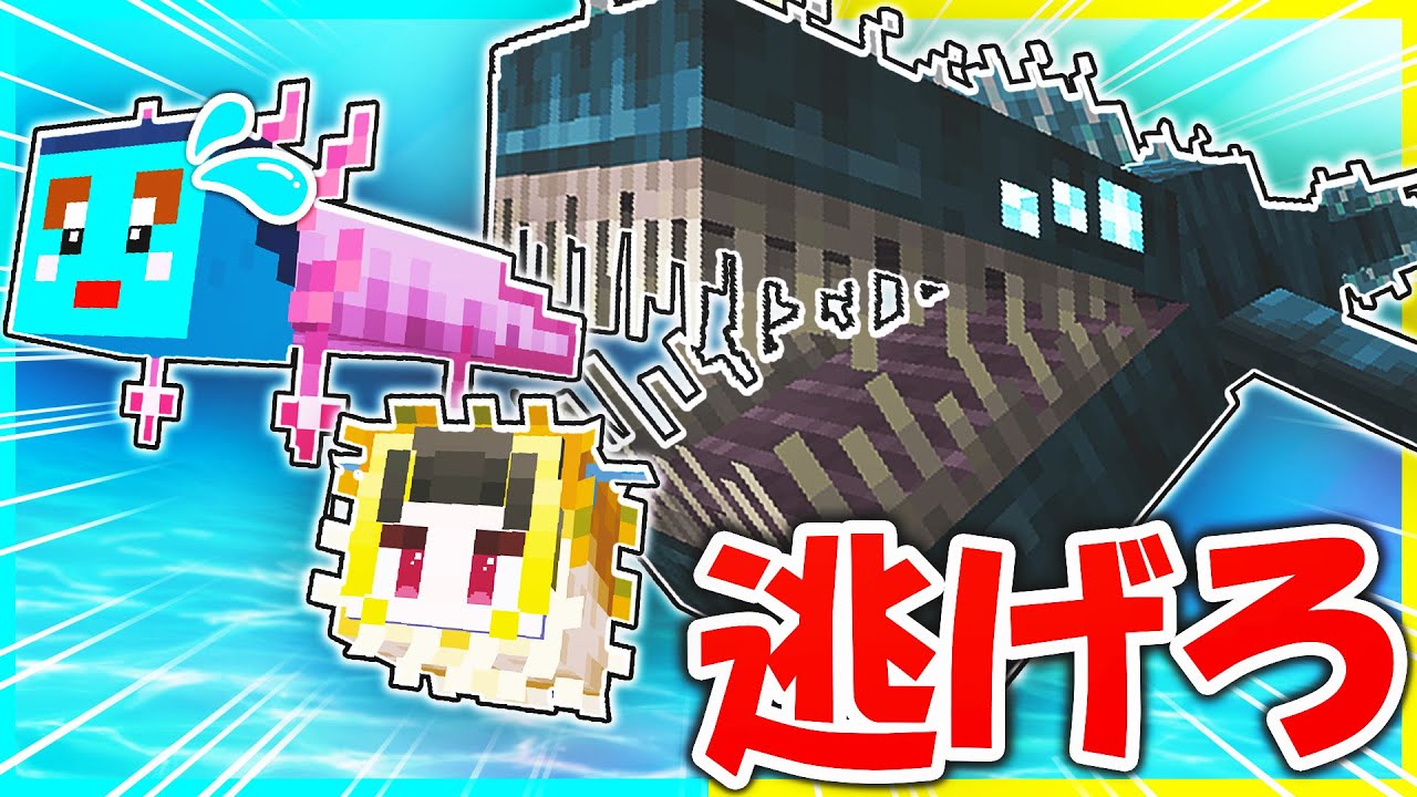 【⭐︎ゆっこ⭐︎】water life series ⭐︎ゆっこ⭐︎】water life series 2026年最新】クラブエコウォーター