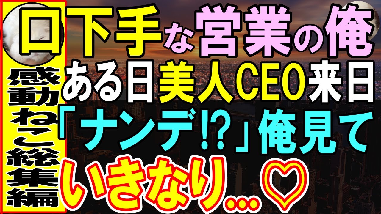 【感動する話】天才開発者であることを隠し、営業である企業に中途入社した37歳の俺。ある日、海外本社からCEOが来社。叱責される俺を見るなり、「ここで何をやってるの?」【いい話・泣ける話・朗読】