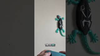 Wall Climbing Gecko The Christmas Gift This Year