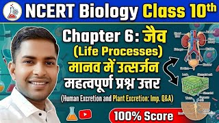 🔥 मानव एवं पादप में उत्सर्जन संबंधी प्रश्न उत्तर | जैव प्रक्रम अध्याय 6 | class 10th | Avinash sir