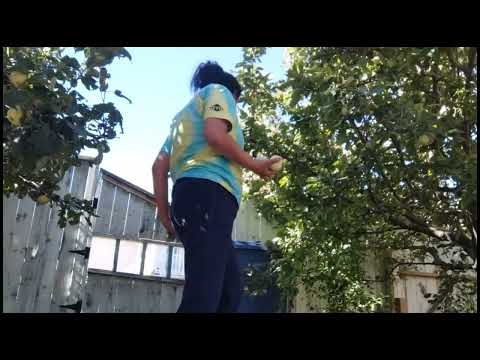 PICKING APPLES W/ GIDEON KULIT🍎🍎