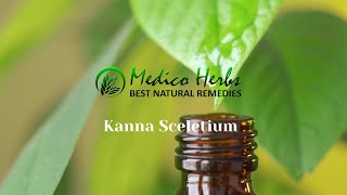 Kanna Sceletium from Medico Herbs