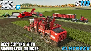 Herbicide-free method of weed control, beet harvest | Elmcreek Farm | Farming simulator 22 | ep #114 screenshot 3