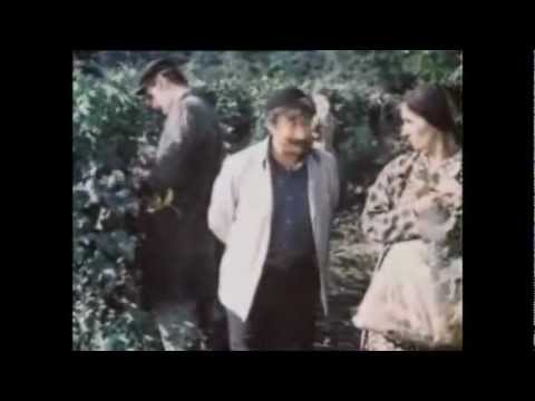 სიყვარული ყველას უნდა