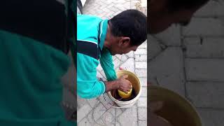 Download Lagu VIRAL!!! Cara suara SPEAKER jadi lantang dan mantap 1KILO TEMBUS. #shorts MP3