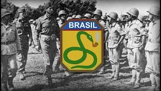 Sabemos Lutar  Francisco Alvesmelhor Qualidade