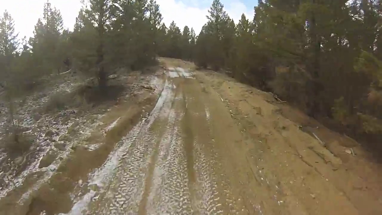 Pipestone, Montana Trail 14 YouTube