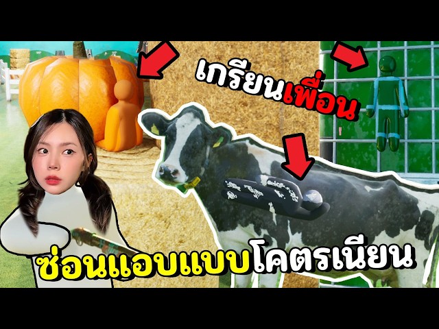 ซ่อนแอบระบายสีแบบโครตเนียน | MECCHA CHAMELEON