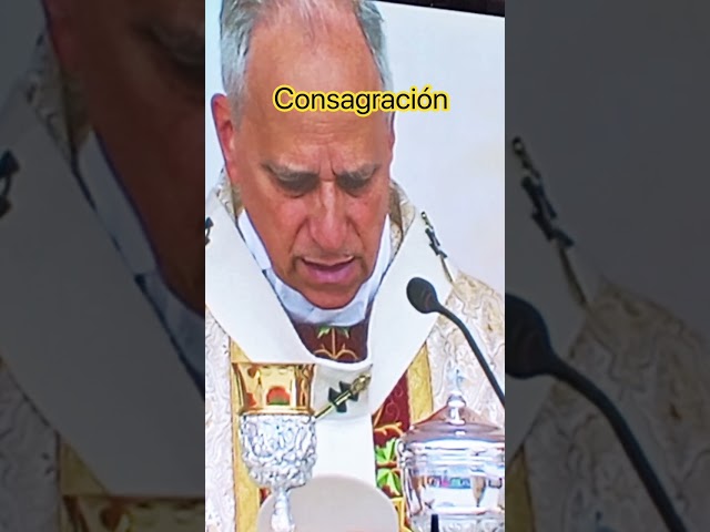 Momentos inolvidables del Santo Padre #profeepi