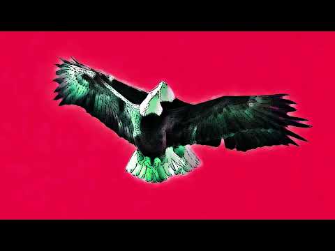Katalina - You'll Be My Future (original version)