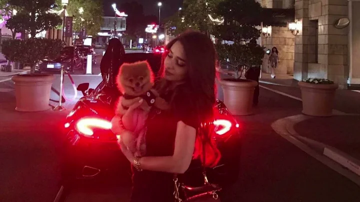 Paid to Exist - Brux XTN (Car Music)