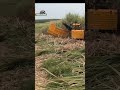 🔥 Millions of Tons of Sugarcane Harvested With Incredible Precision 🌾