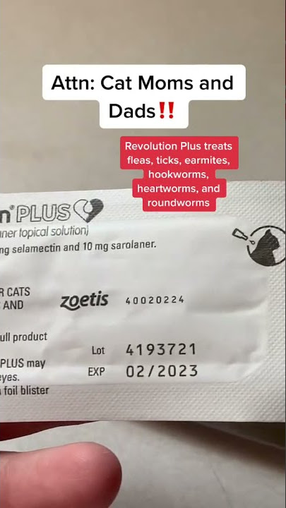 revolution plus for cats #cats #fyp #catsoftiktok #π» #foru #revolutionplus