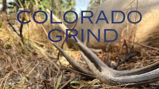 2025 FIRST RIFLE COLORADO ELK HUNT 