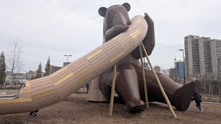Aurora rides the new bear slide at Detroit's metro park, and a few more. #bear #metroparks #detroit