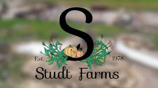 Studt Farms 2023 Season