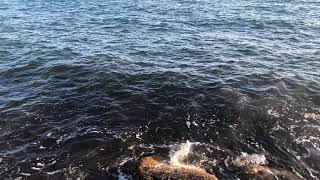 Kalp Konuşur Şiir Kalbin Dili