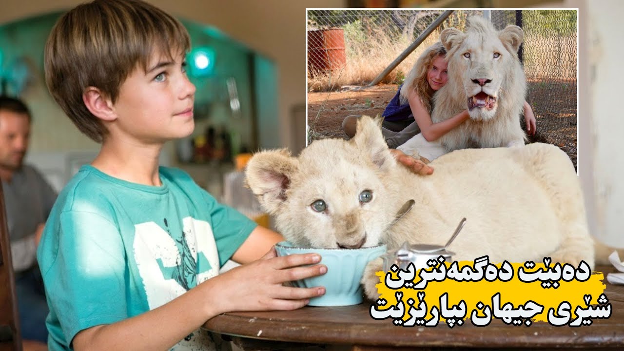 دەگمەنترین جۆری شێر لە كچێكی بچووك ئەدزێت وە هەوڵی كوشتنی دەدەن كچەكەش هەوڵی ڕزگاركردنی شێرەكە دەدات