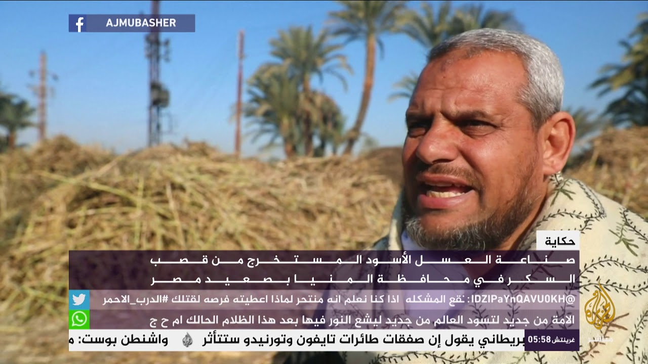 حكاية صناعة العسل الأسود في مصر