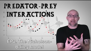 Predators And Prey, Episode 2 Improving Predator-Prey Theory With Nicholson-Bailey