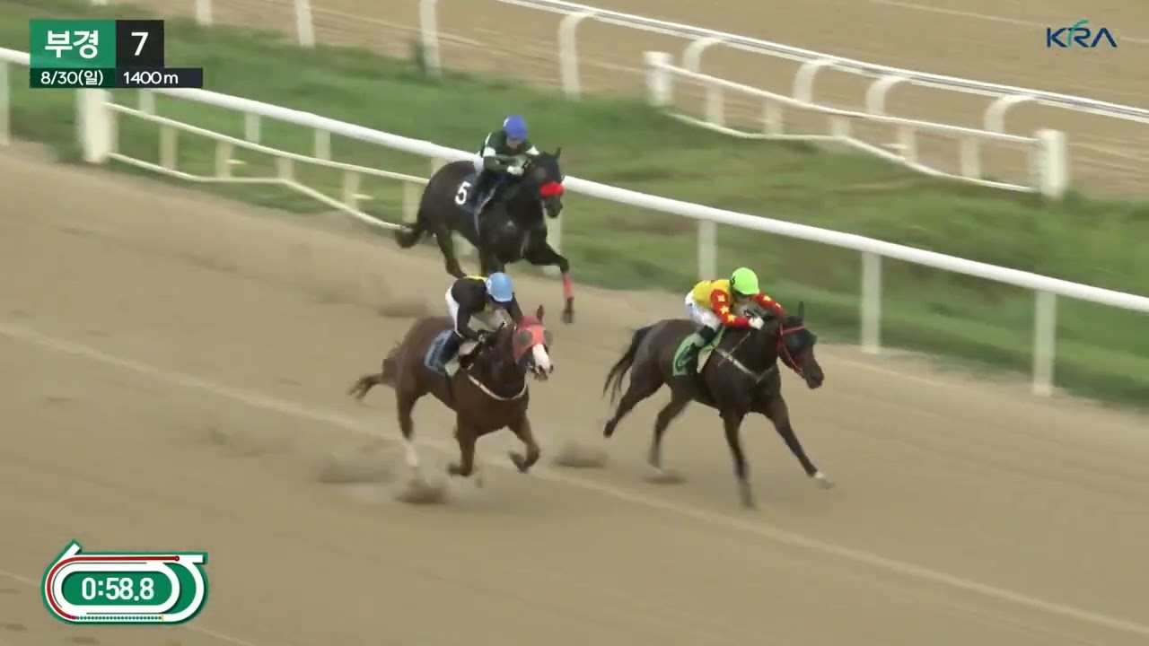 부경 이상영 조교사 .1.2위.배당 꽝